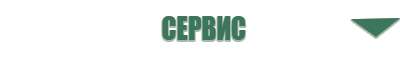 электростимулятор чрескожный универсальный Дэнас